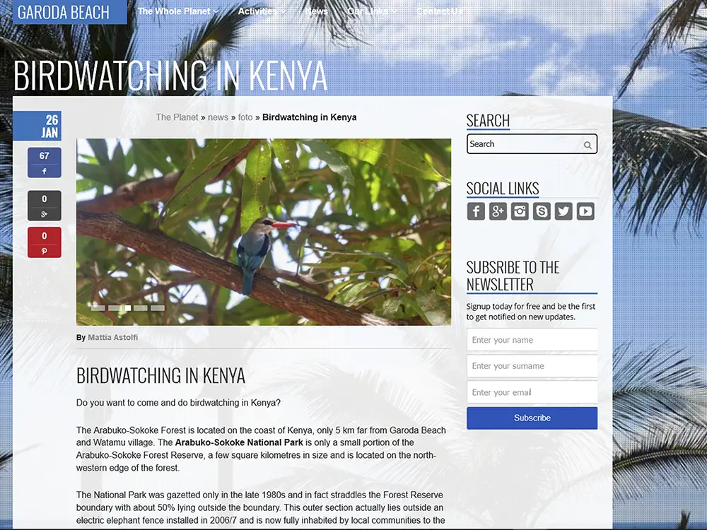 Articolo sul birdwatching in Kenya